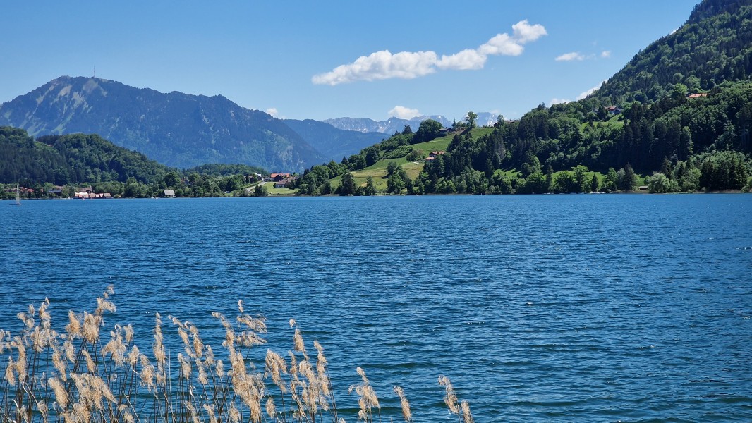 Albsee